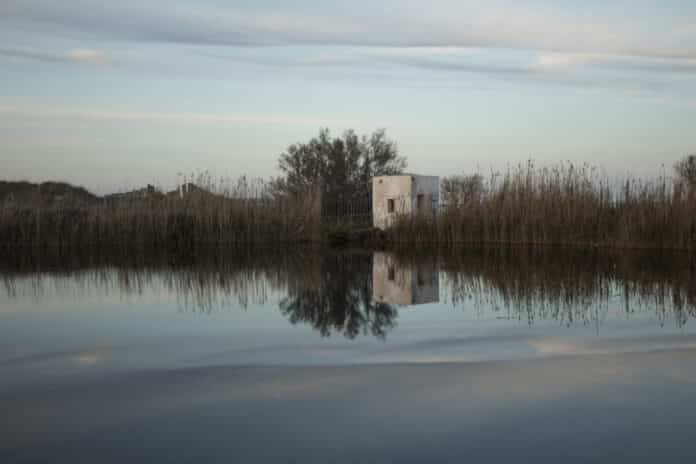 Parco Dune Costiere
