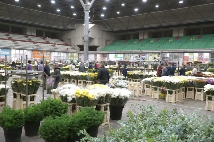 Mercato fiori Terlizzi