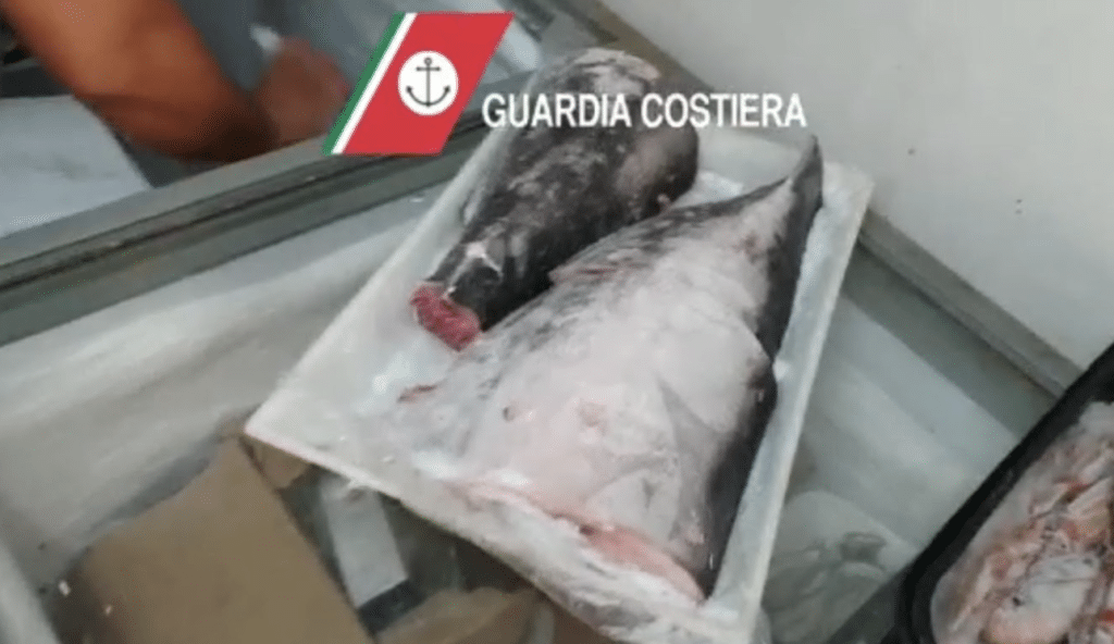 Foto del sequestro Guardia Costiera Bari (3)