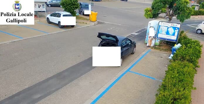 Fototrappole nella città di Gallipoli (2)