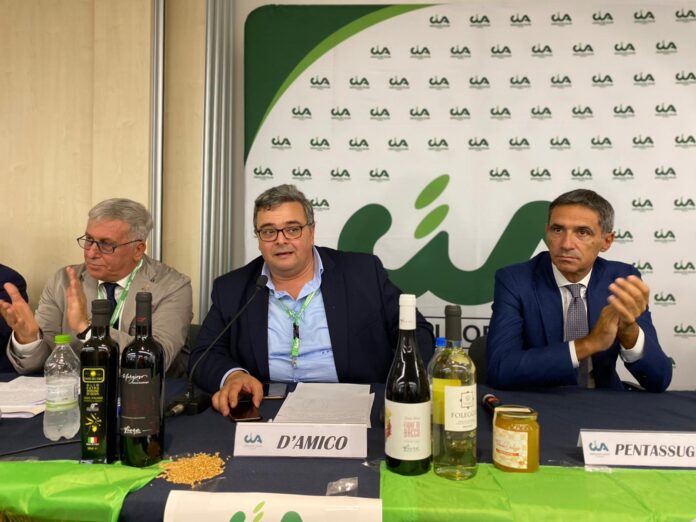 Foto dell'incontro Sicolo D'Amico Pentassuglia
