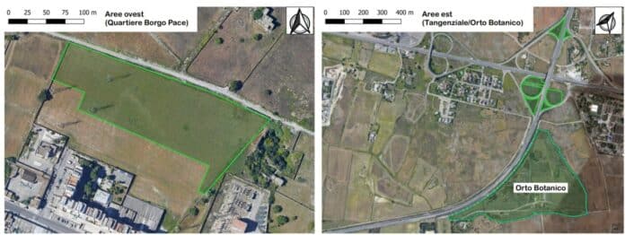 Foto degli interventi di forestazione urbana Borgo Pace e Orto Botanico