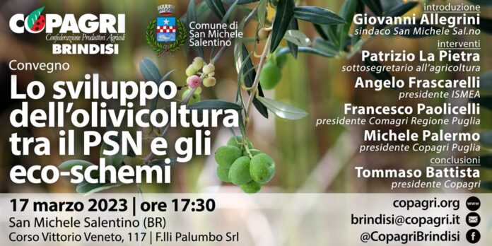 Locandina dell'evento sviluppo olivicoltura