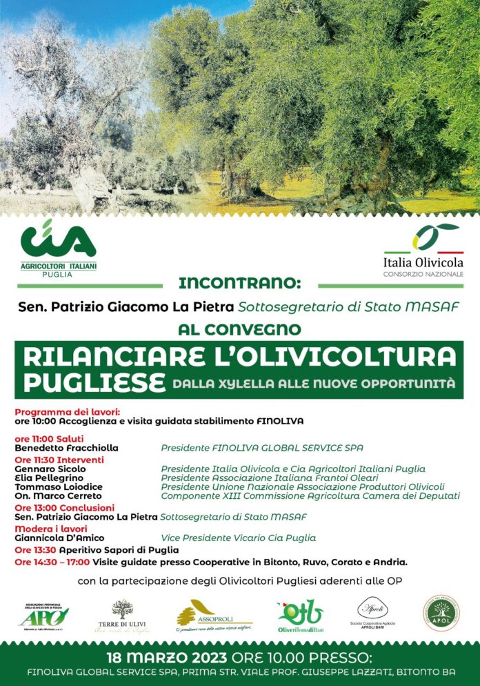 bitonto stati generali olivicoltura