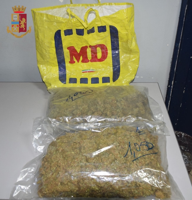 Foto della marijuana sequestrata