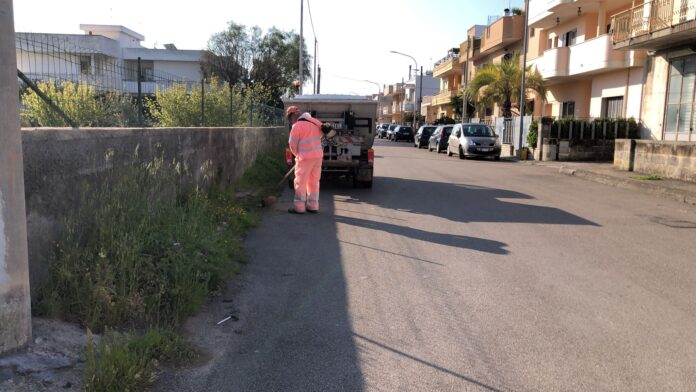 Foto dello sfalcio erbacce
