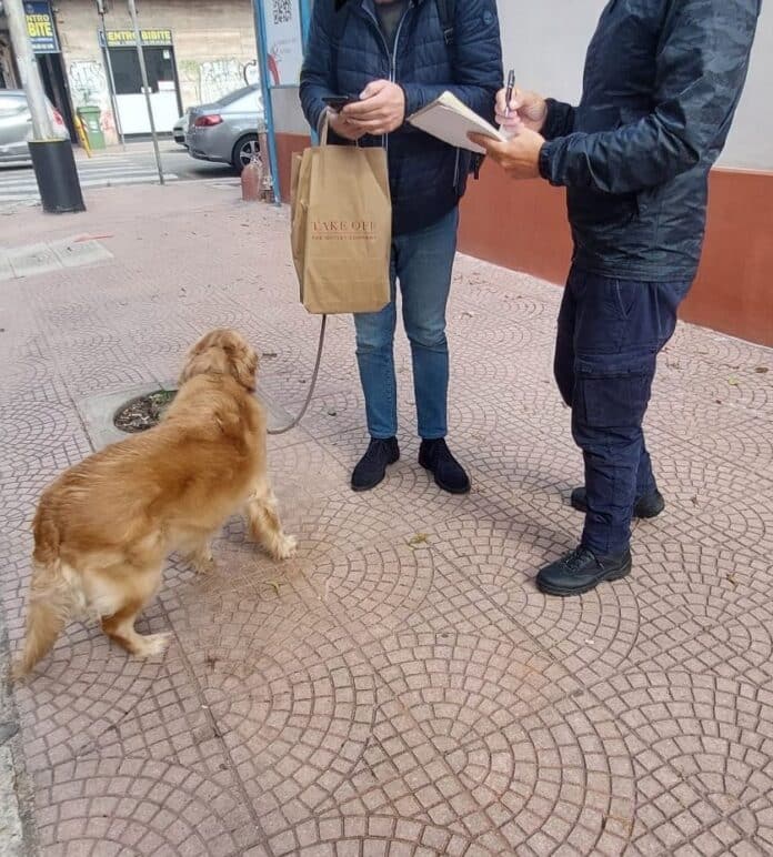 Foto dei controlli