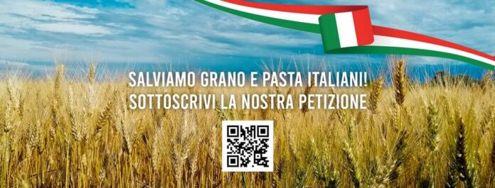 Foto Qr Code per la petizione CIA