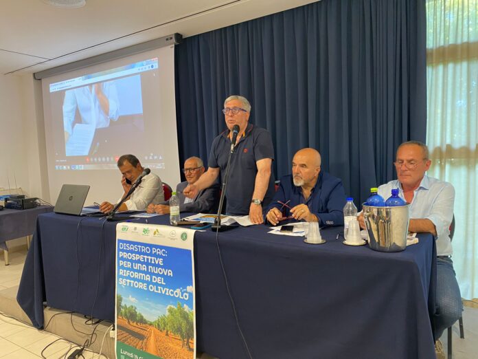 Foto dell'incontro del settore olivicolo