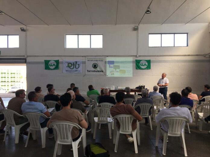 Corso di formazione olearia a Bitonto