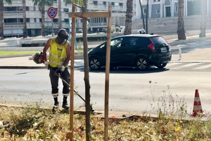 Operatore ecologico Taranto