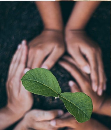 Ecoevent