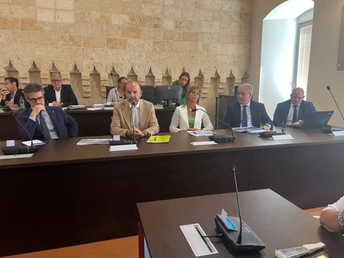 Foto del Consiglio Comunale Monotematico