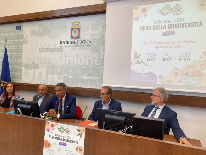Foto della conferenza stampa