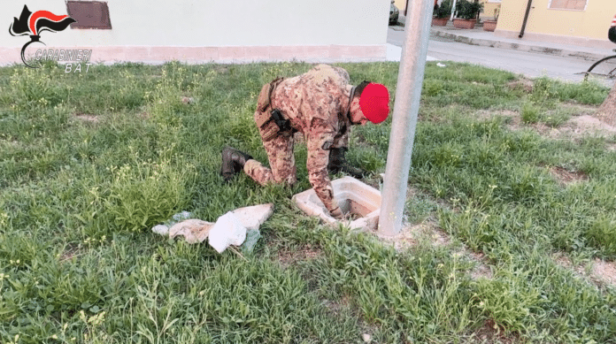 Foto delle operazioni