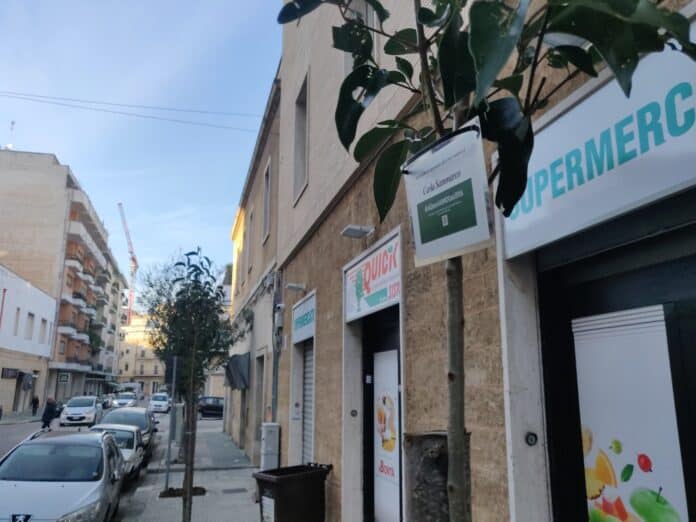 Alberiamo la città