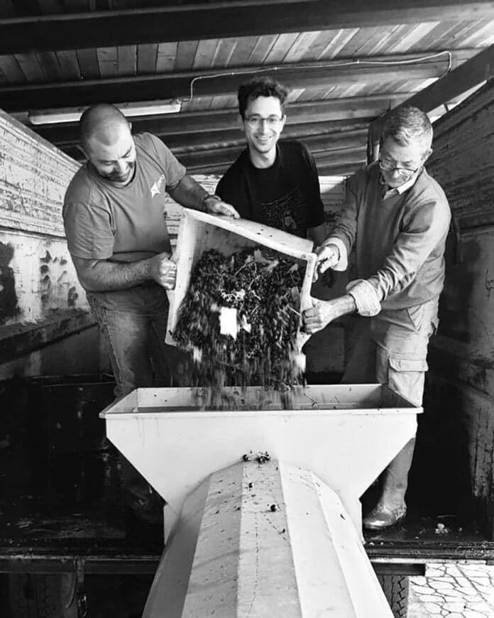 Azienda Mazzone