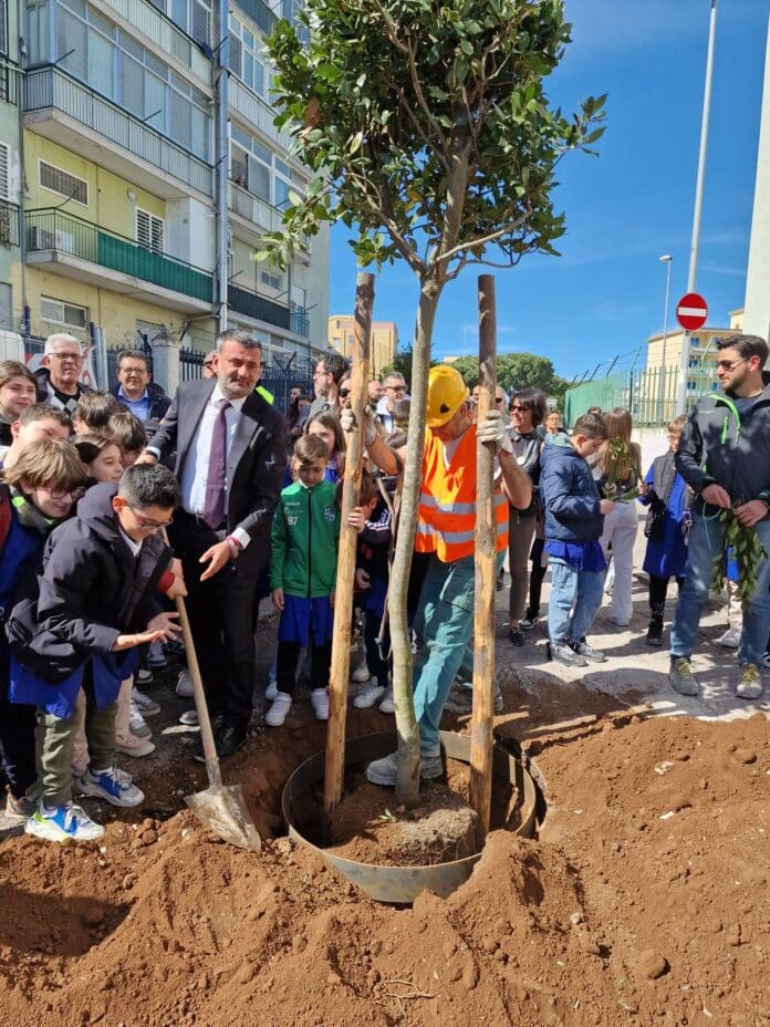 Foto della piantumazione