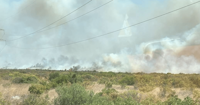 Foto dell'incendio