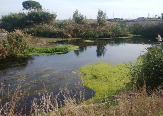 fiume Tara