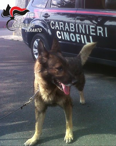 Unità cinofila