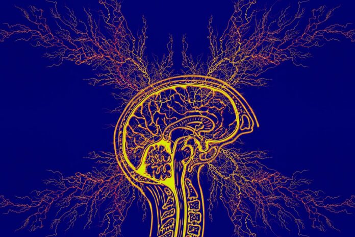Foto dell'epilessia